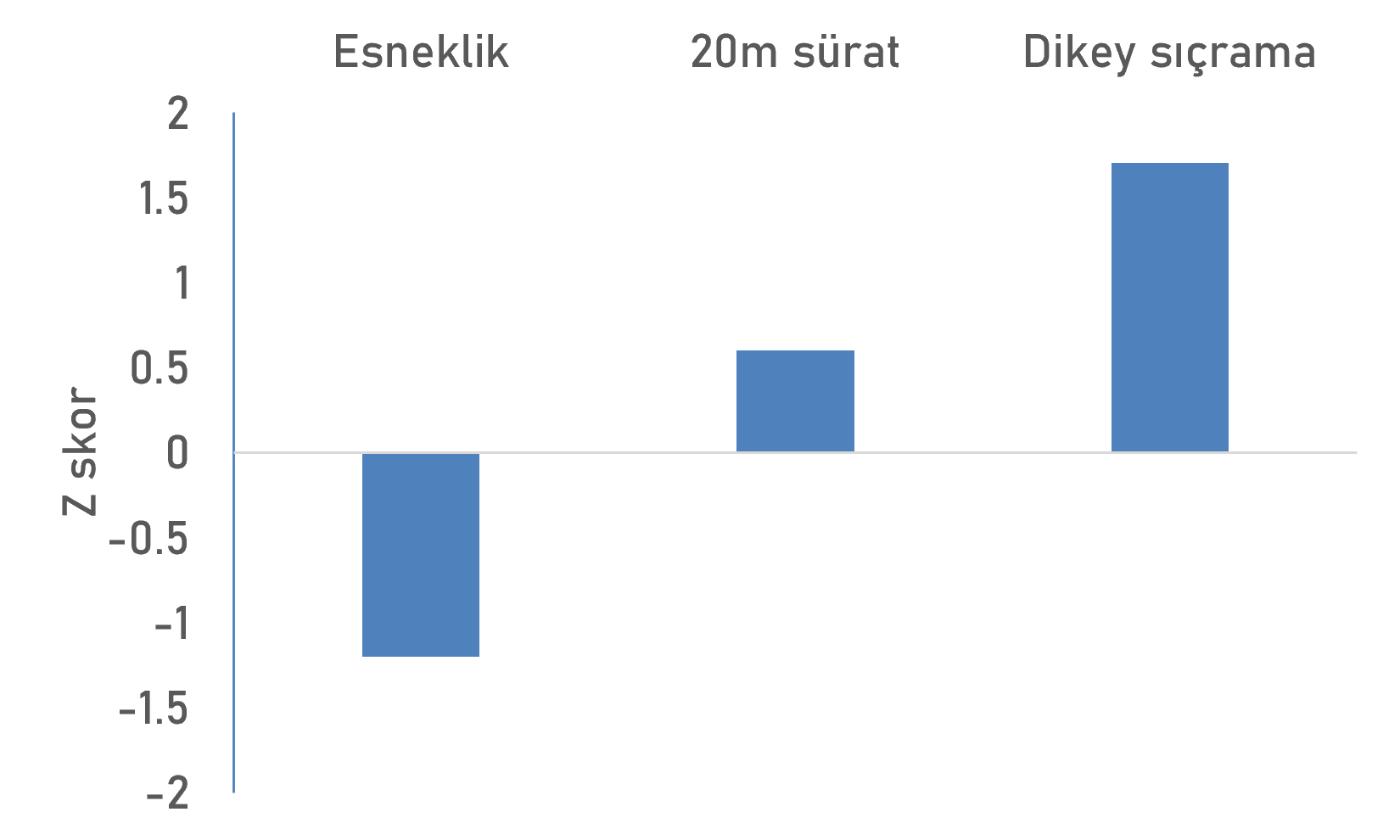 Bir sporcunun fiziksel performans profili